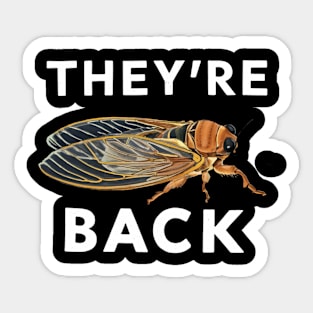 They're Back Cicada Invasion 2024 Cicada Brood Cicada Nymph Sticker